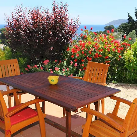 Apartment Olivar